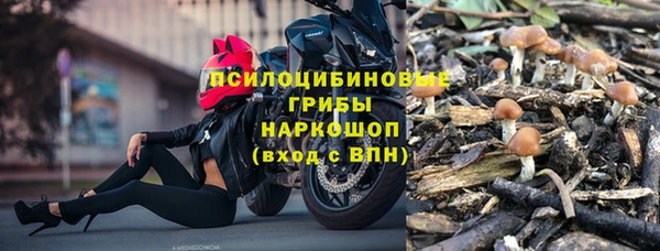 герыч Новокубанск