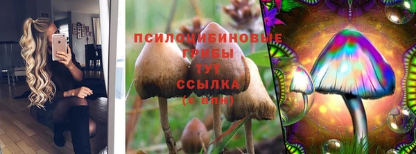 герыч Новодвинск