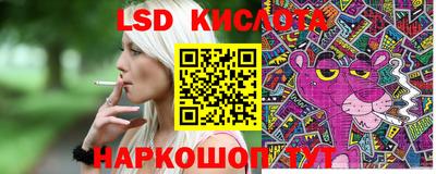гашик Кинель