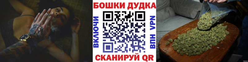 Бошки Шишки сатива Новодвинск